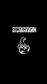 Scorpio Wallpaper Phone 4