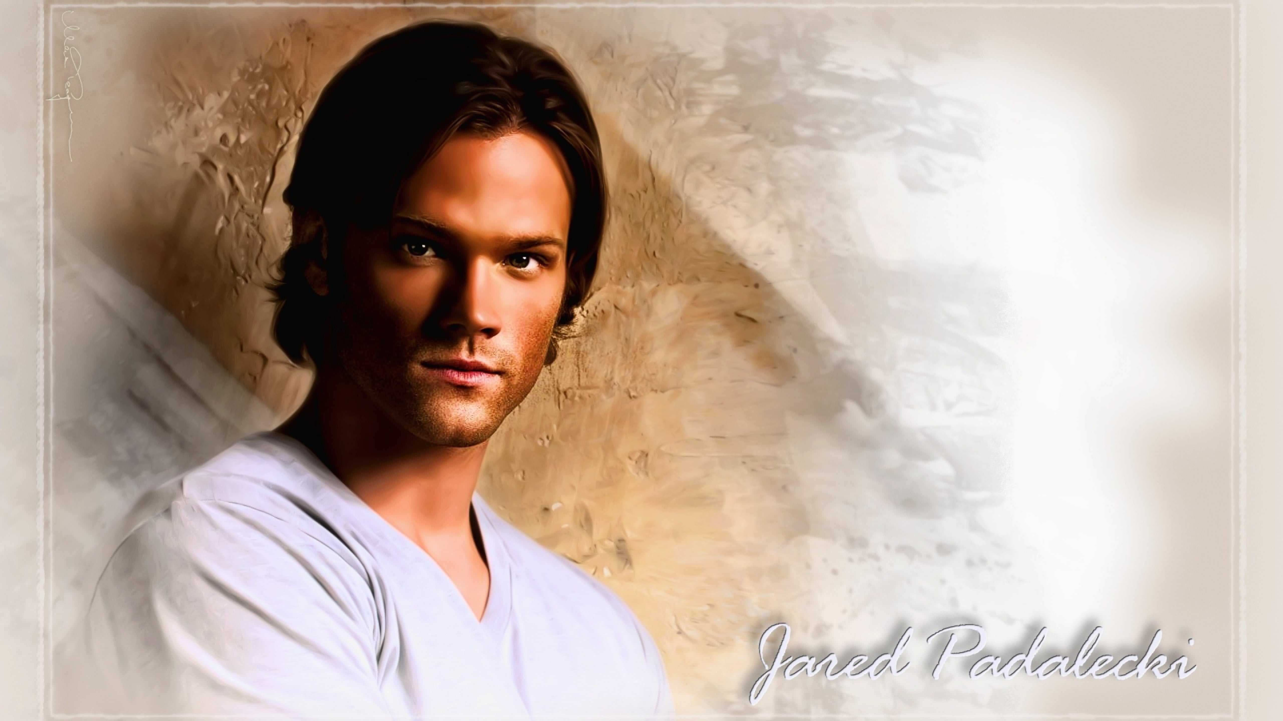 4K Jared Padalecki Wallpaper 1 4K Jared Padalecki Wallpaper 1