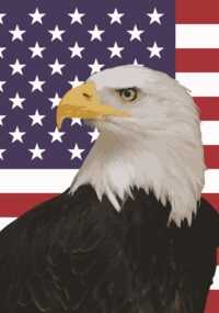 American Eagle Wallpaper 5