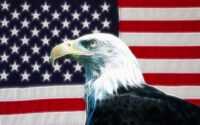 American Eagle Wallpaper 4