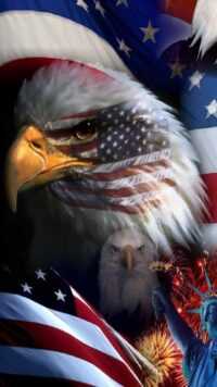 American Eagle Wallpapers 9