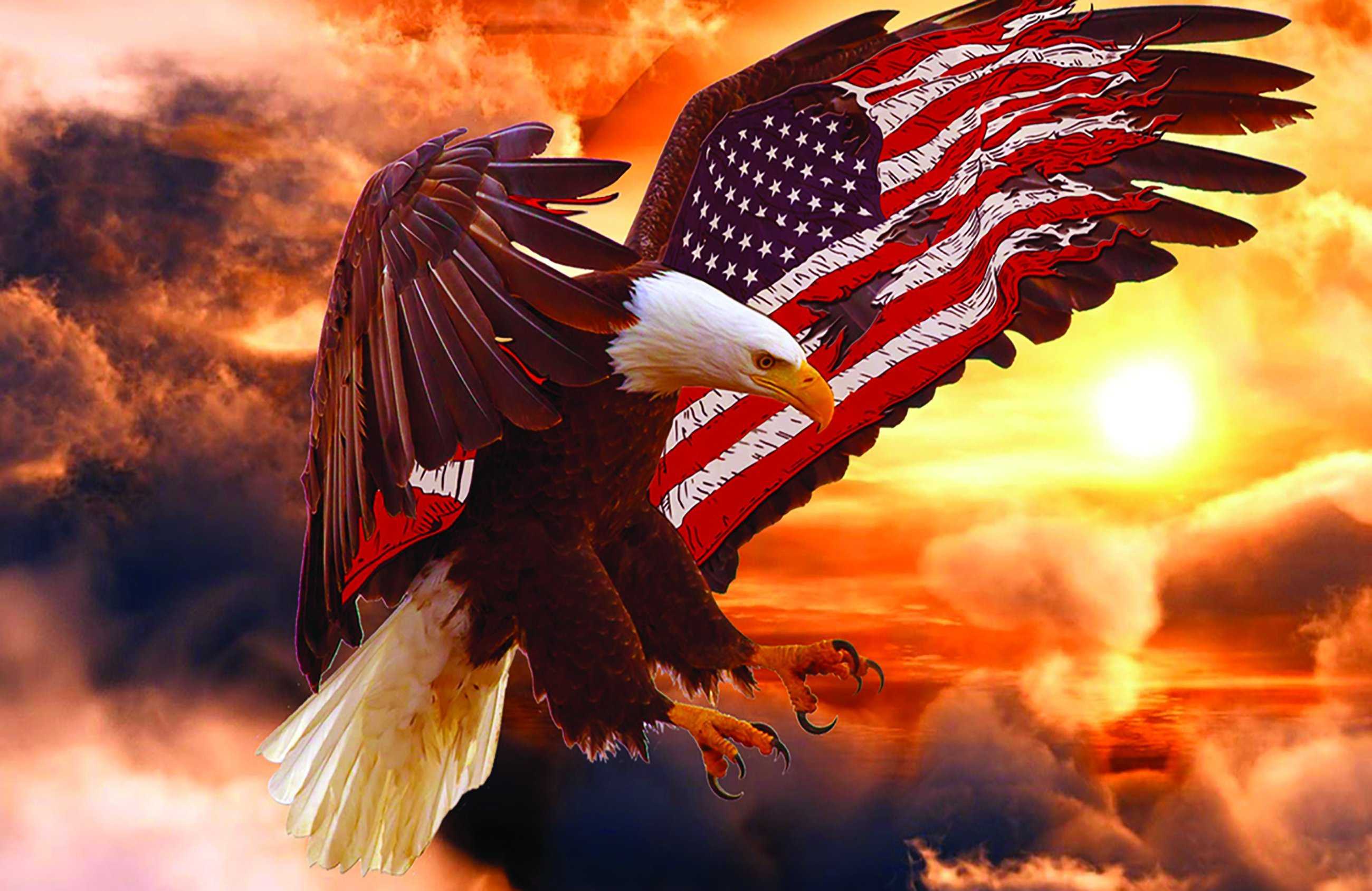 Звук орла америка. Белоголовый Орлан США. Символ Америки белоголовый Орлан. Белоголовый Орлан на флаге США. Белоголовый Орел символ США.
