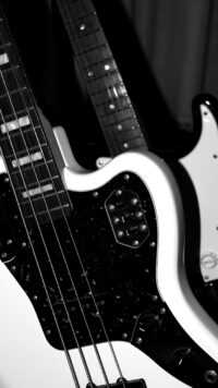 Bass Guitar Wallpaper 5