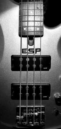 Bass Guitar Wallpaper 3