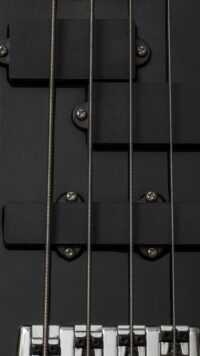 Bass Guitar Wallpapers 3