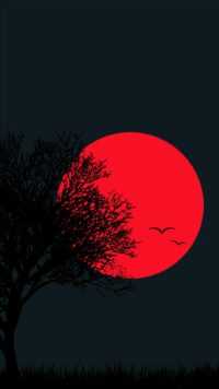 Dark Naturalism Wallpaper 7