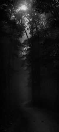 Dark Naturalism Wallpaper 6