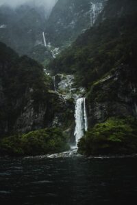 Dark Naturalism Wallpaper 2