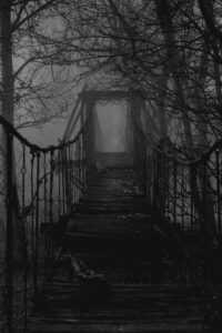 Dark Naturalism Wallpapers 8