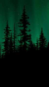 Dark Naturalism Wallpapers 3