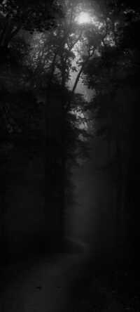 Dark Naturalism Wallpapers 1