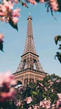 Eiffel Tower Wallpapers 8
