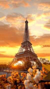 Eiffel Wallpaper 8