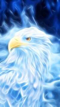 Epic Bald Eagle Wallpaper 5