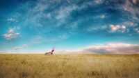 HD Breaking Bad Wallpaper 7
