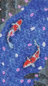 Koi Fish Background 6