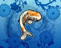 Koi Fish Background 7