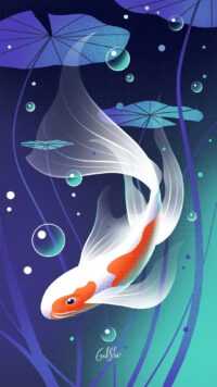 Koi Fish Wallpaper 5
