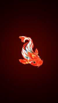 Koi Fish Wallpaper 4