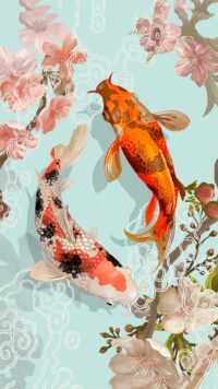 Koi Fish Wallpaper 3