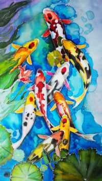 Koi Fish Wallpapers 2