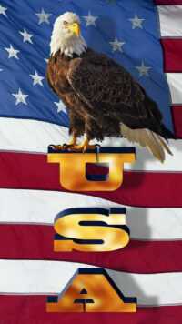 Patriotic Wallpaper 2