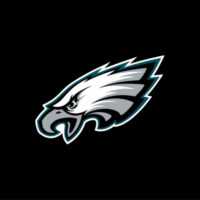 Philadelphia Eagles Background 3