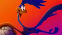 Road Runner Space Jam Wallpaper 4