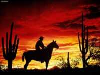 Western Cowboy Wallpaper 2