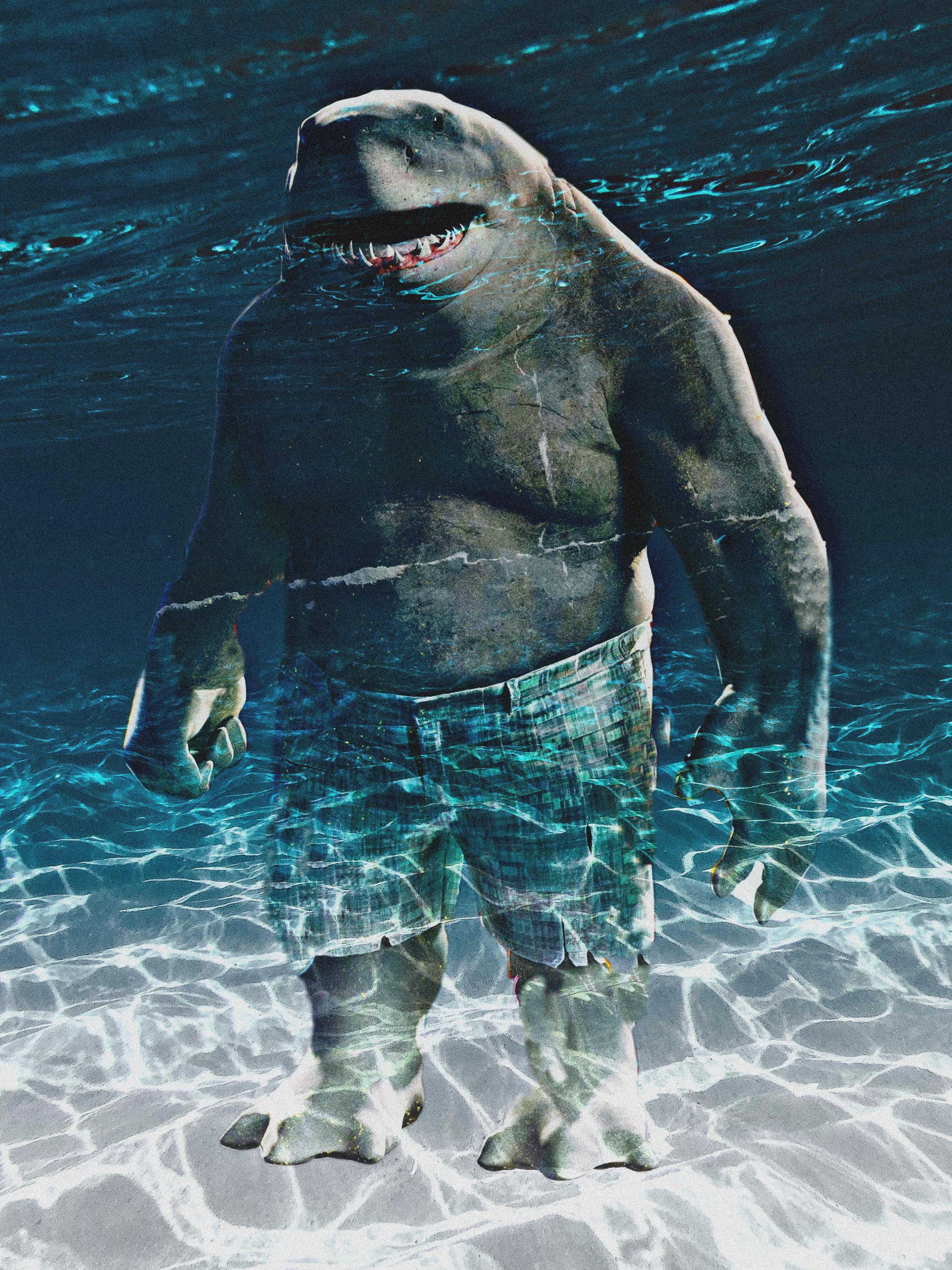 King Shark Wallpaper 1 King Shark Wallpaper 1