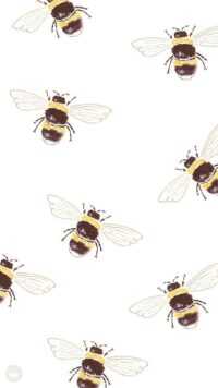 4K Bee Wallpaper 6