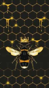 Bee Wallpaper 2