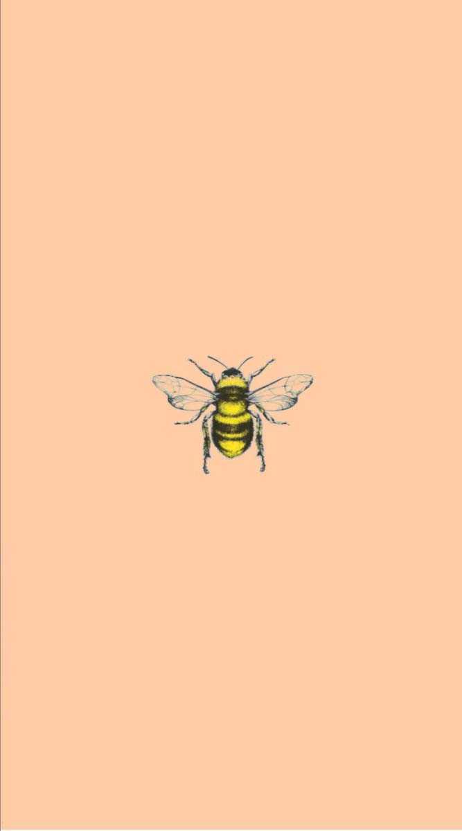 Bee Wallpaper 1