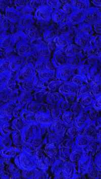 Blue Wallpaper 2