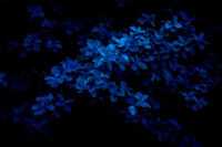 Desktop Blue Wallpaper 1