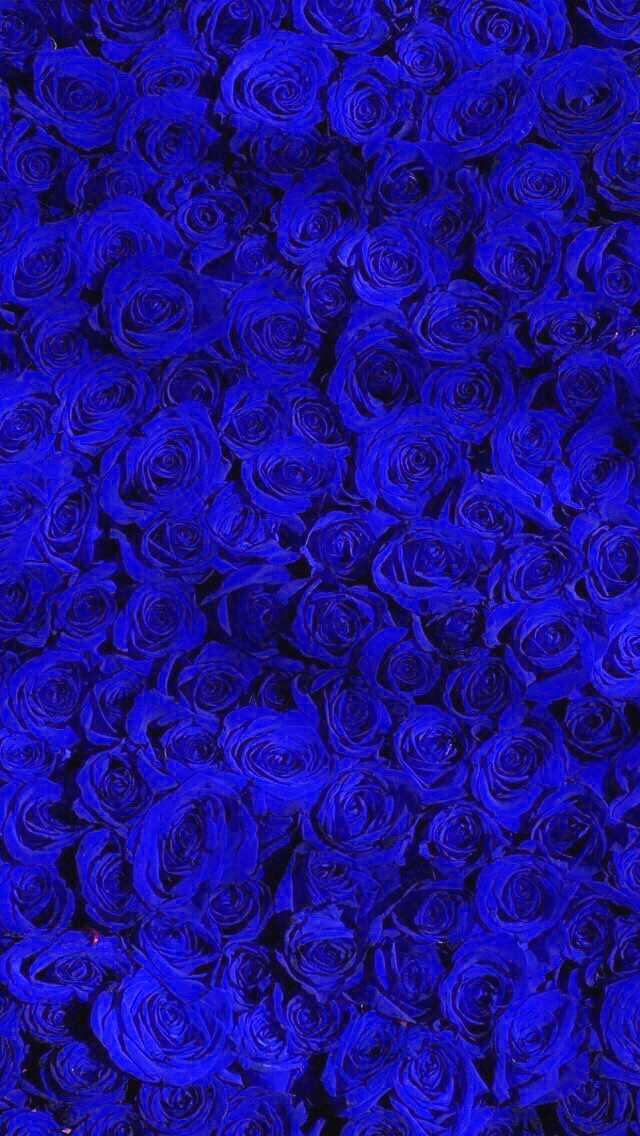 Blue Wallpaper 1 Blue Wallpaper 1