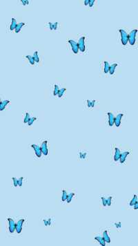 Butterfly Wallpaper 10