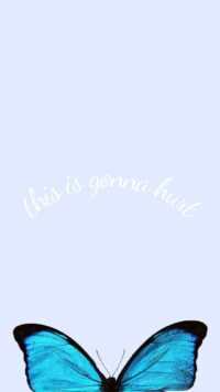 Butterfly Background 1