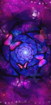 Butterfly Wallpaper 4