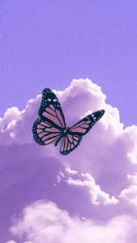 Butterfly Wallpaper 5