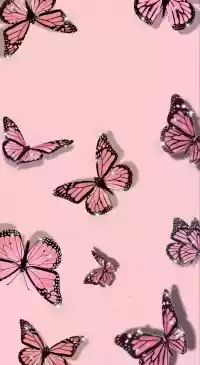 Butterfly Wallpaper 1