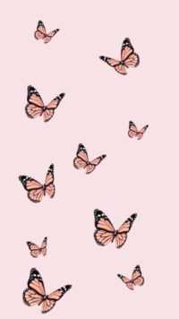 Butterfly Wallpaper 7