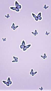 Butterfly Wallpaper 2