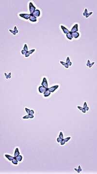 Butterfly Wallpaper 8