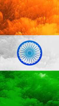 Flag Of India Background 2