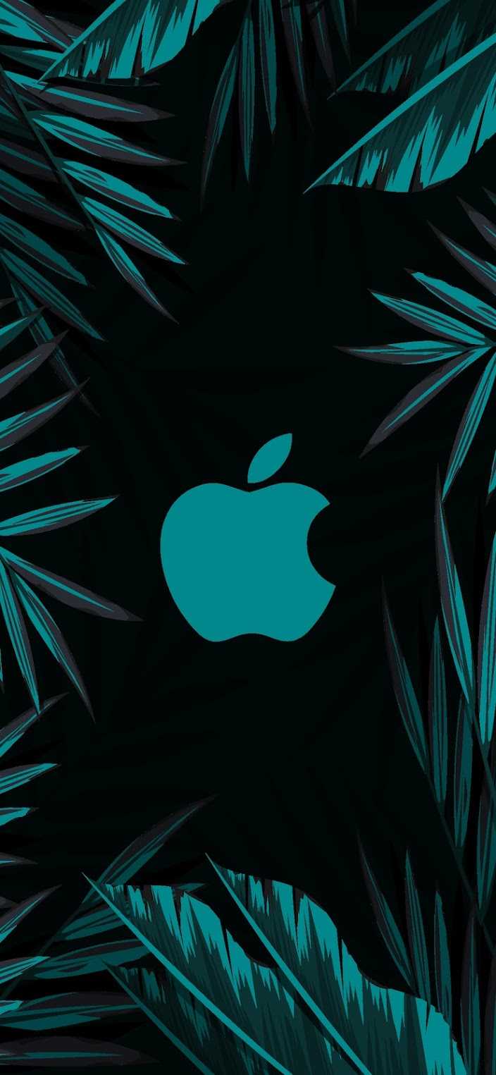 4K Apple Wallpaper 1 4K Apple Wallpaper 1