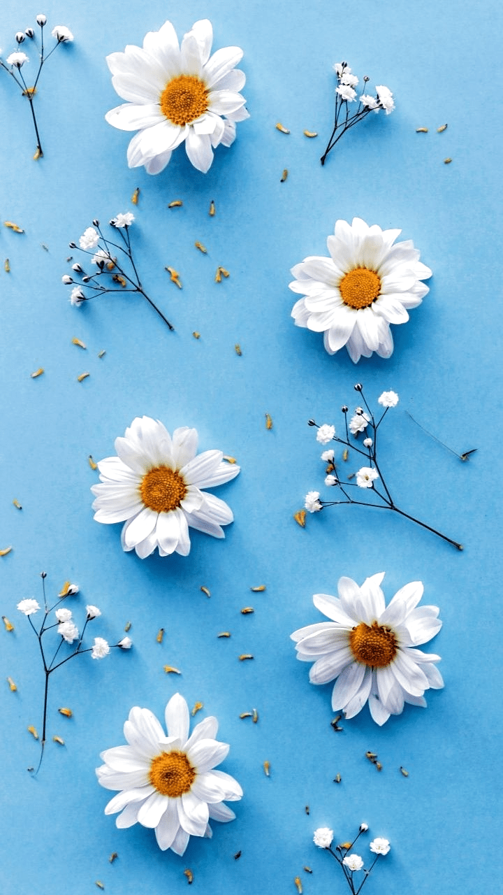 Flower Background 1 Flower Background 1