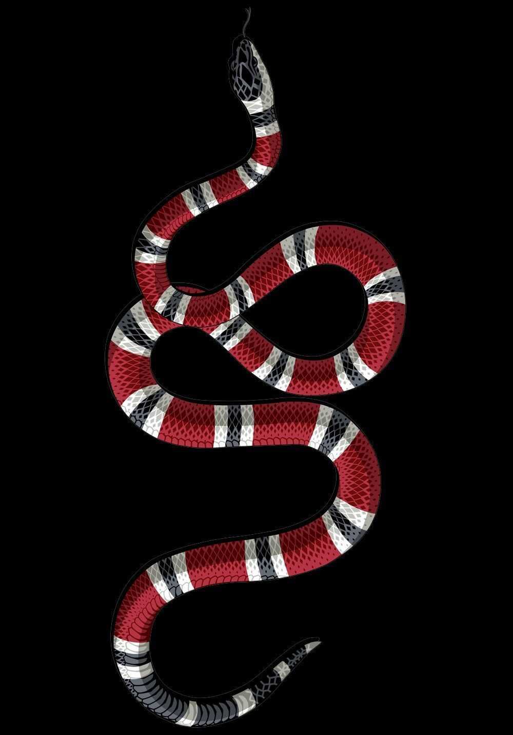 Snake Background 1