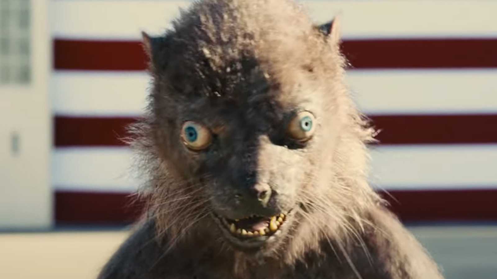 Desktop Weasel Wallpaper 1 Desktop Weasel Wallpaper 1