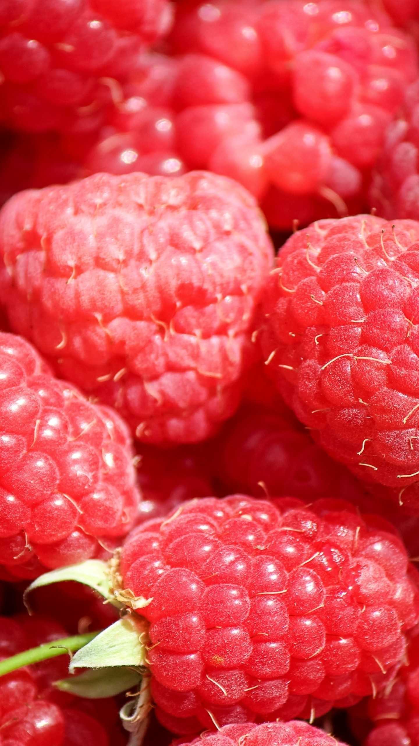 Heart Background 1 Heart Background 1